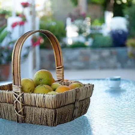 Pretty Cottage Home With Flower Yard & Bbq Tatil Evi Hanya