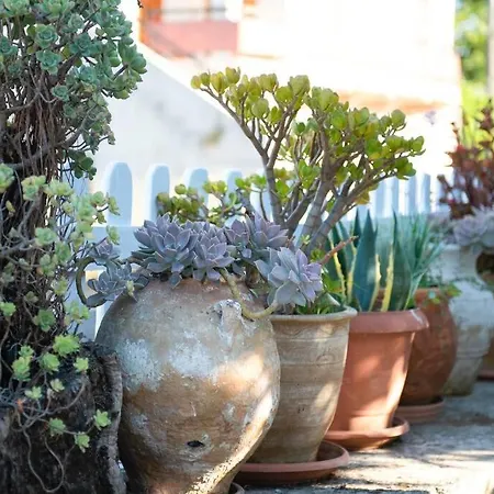 Semesterbostad Pretty Cottage Home With Flower Yard & Bbq