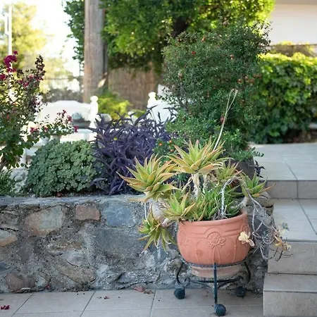 Pretty Cottage Home With Flower Yard & Bbq Semesterbostad Chania (Crete)